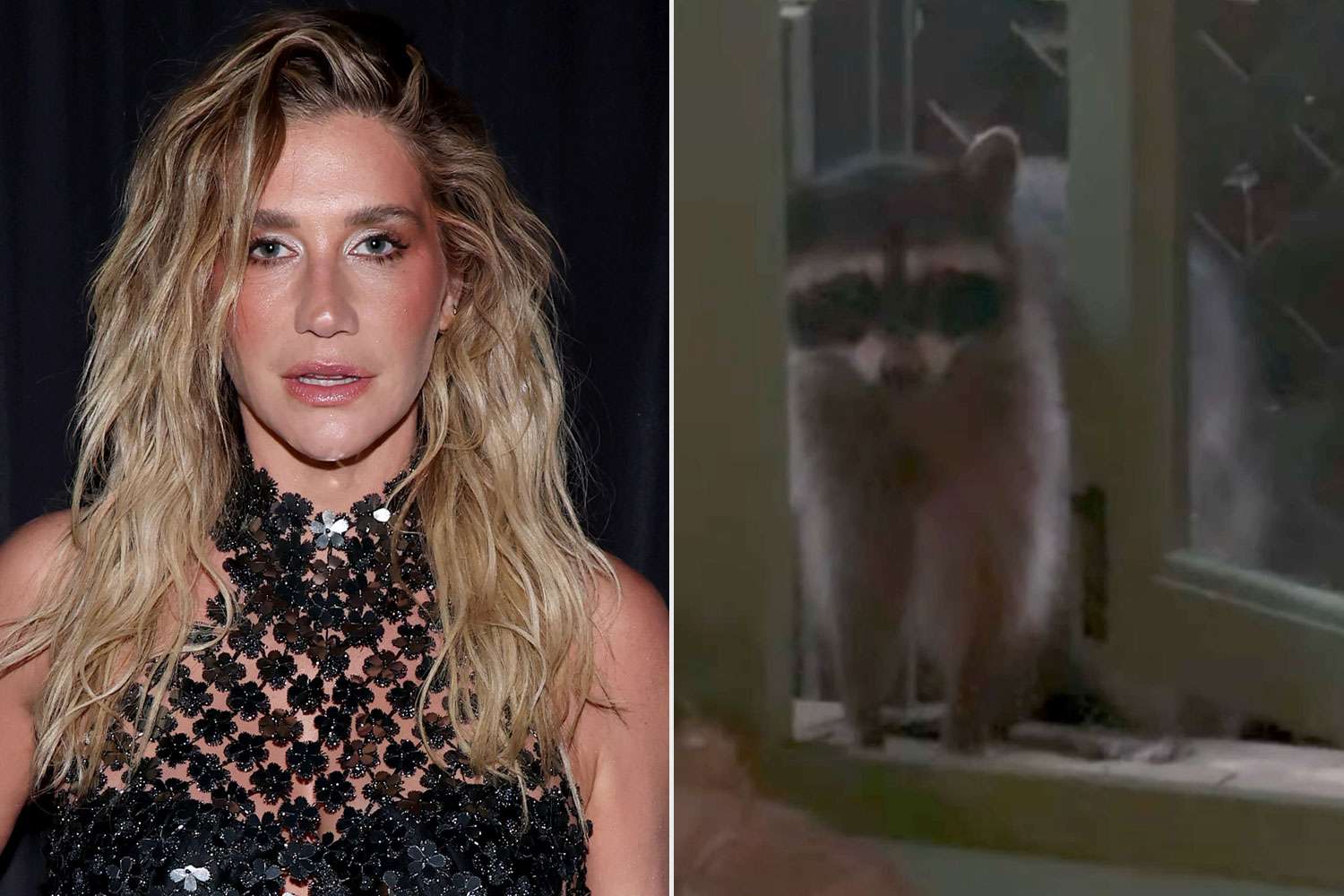 Kesha unsuccessfully attempts to scare a raccoon out of her home: 'I guess you win'