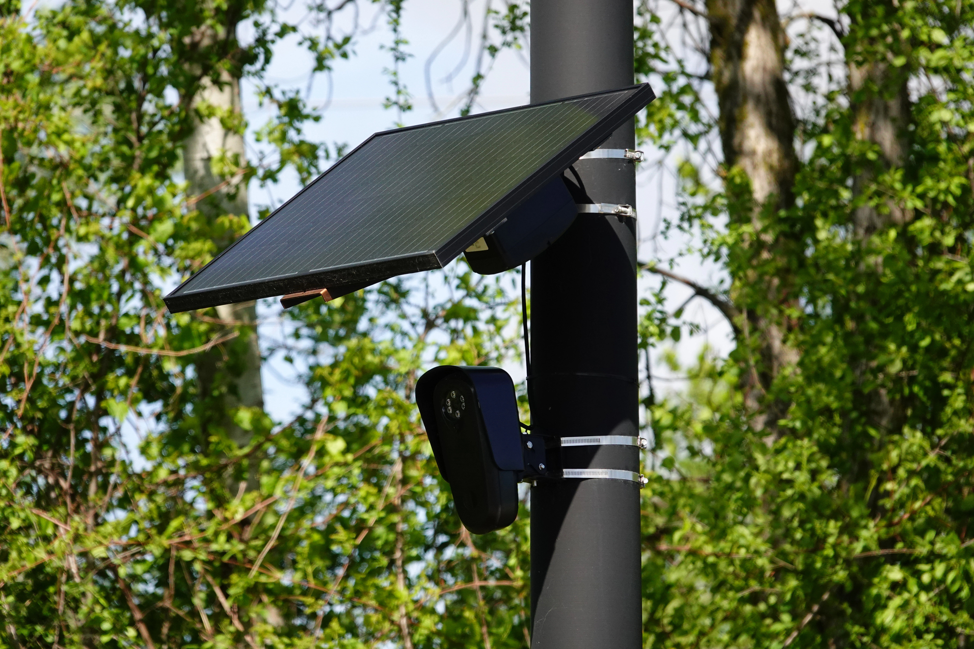 When AI Cameras Misread a Plate, Innocent Families Pay the Price