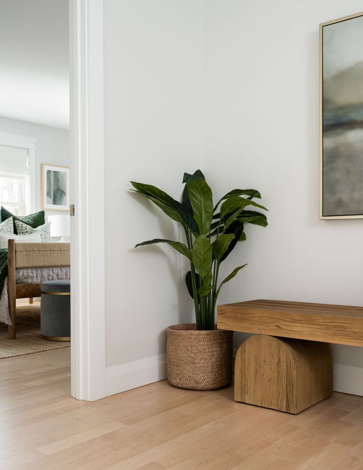 Large plant in entryway