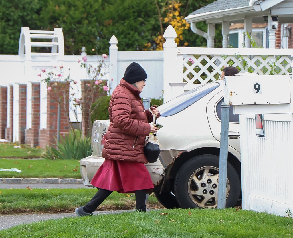 Long Island town slapped with subpoenas after granny, 83, claimed she ‘had no idea’ she was a candidate