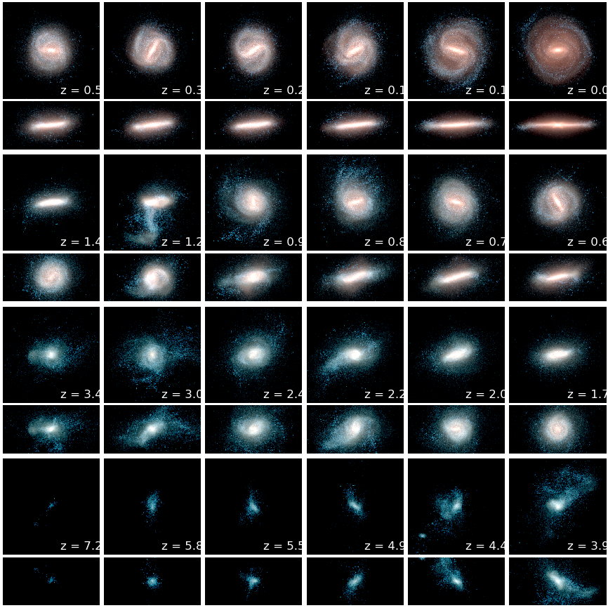 Halo 18 is an example of a galaxy that had a head-on collision (see the panel at z=1.2) and had a disc flip (you can see this by comparing the disc orientation at z=1.4 and z=0). (CREDIT: Auriga Project)