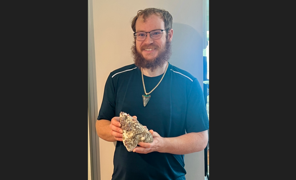 Ancient tooth found off NC coast came from shark 70 to 80 feet long, expert says