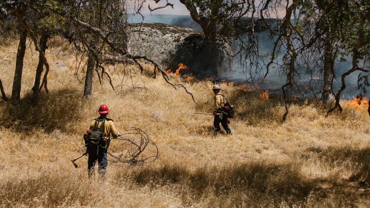 Three wildland firefighters were killed when a Colorado-Utah fire burned over their shelters