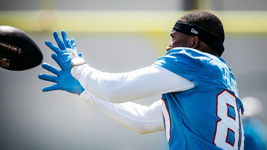Mandatory Credit: Donald Page/Tennessee Titans
