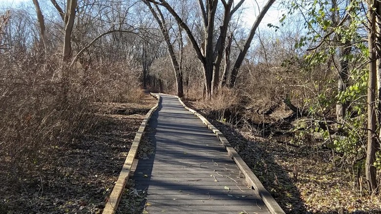Just outside Boston is a lovely nature preserve with wetland trails, gardens, and kid-friendly fun