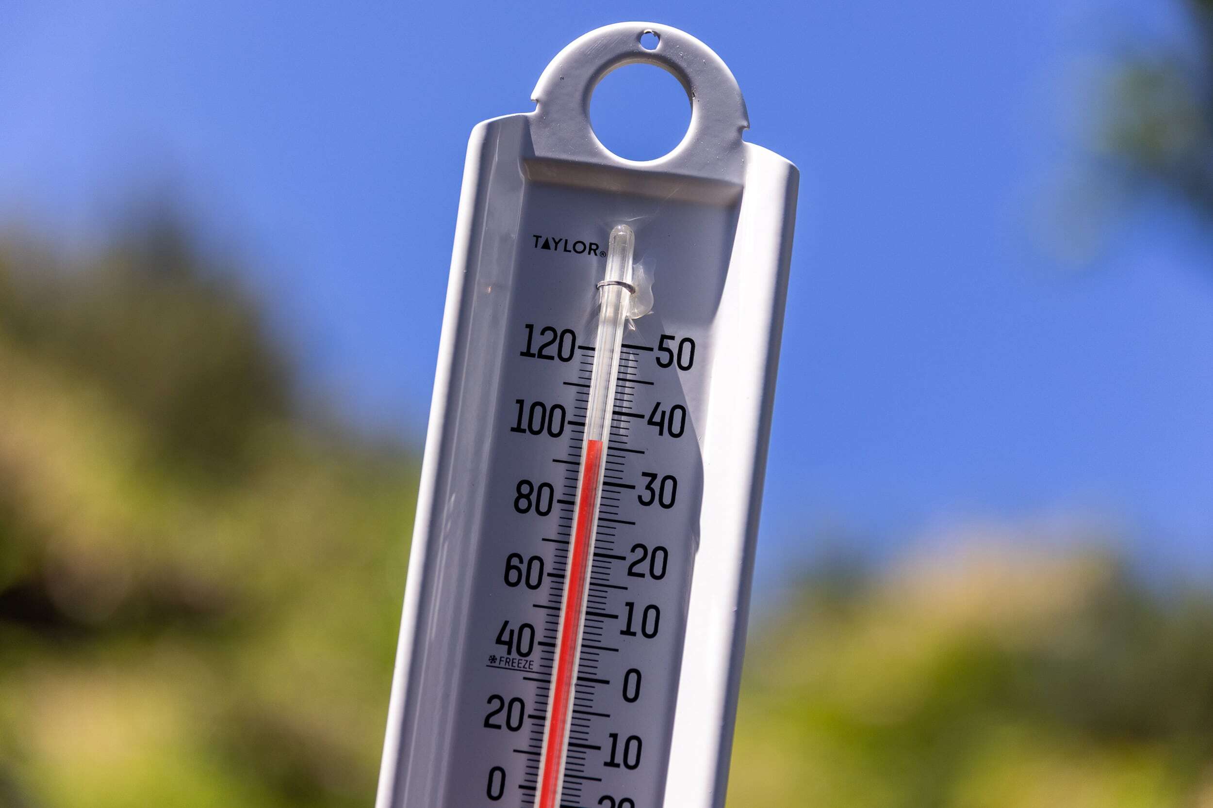 Multnomah County declares state of emergency, opens cooling center