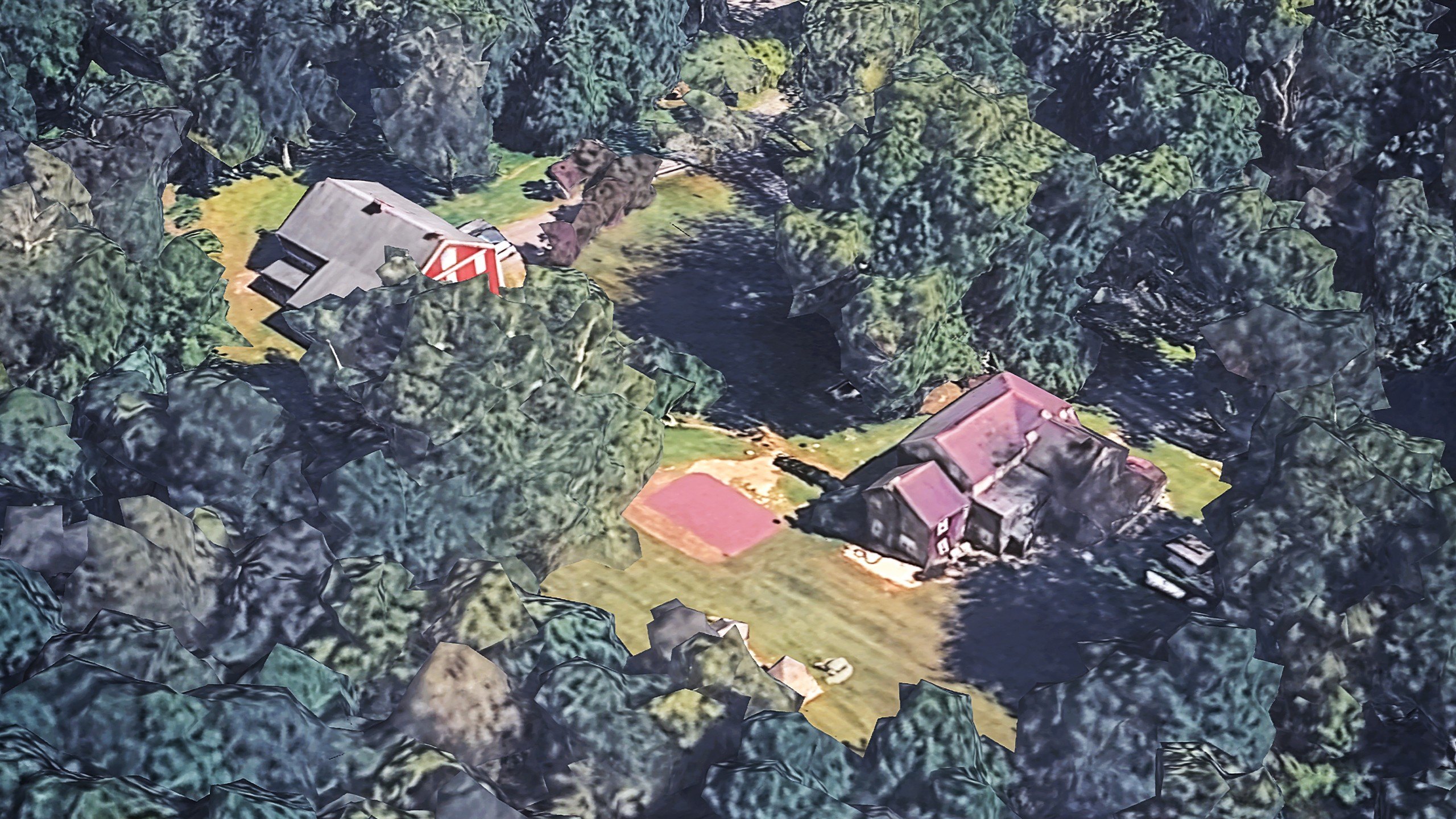 Pennsylvania couple discover the dream home they purchased is infested with snakes