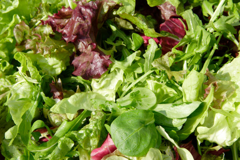 Ate lettuce recently? Here's how to tell if you have cyclosporiasis