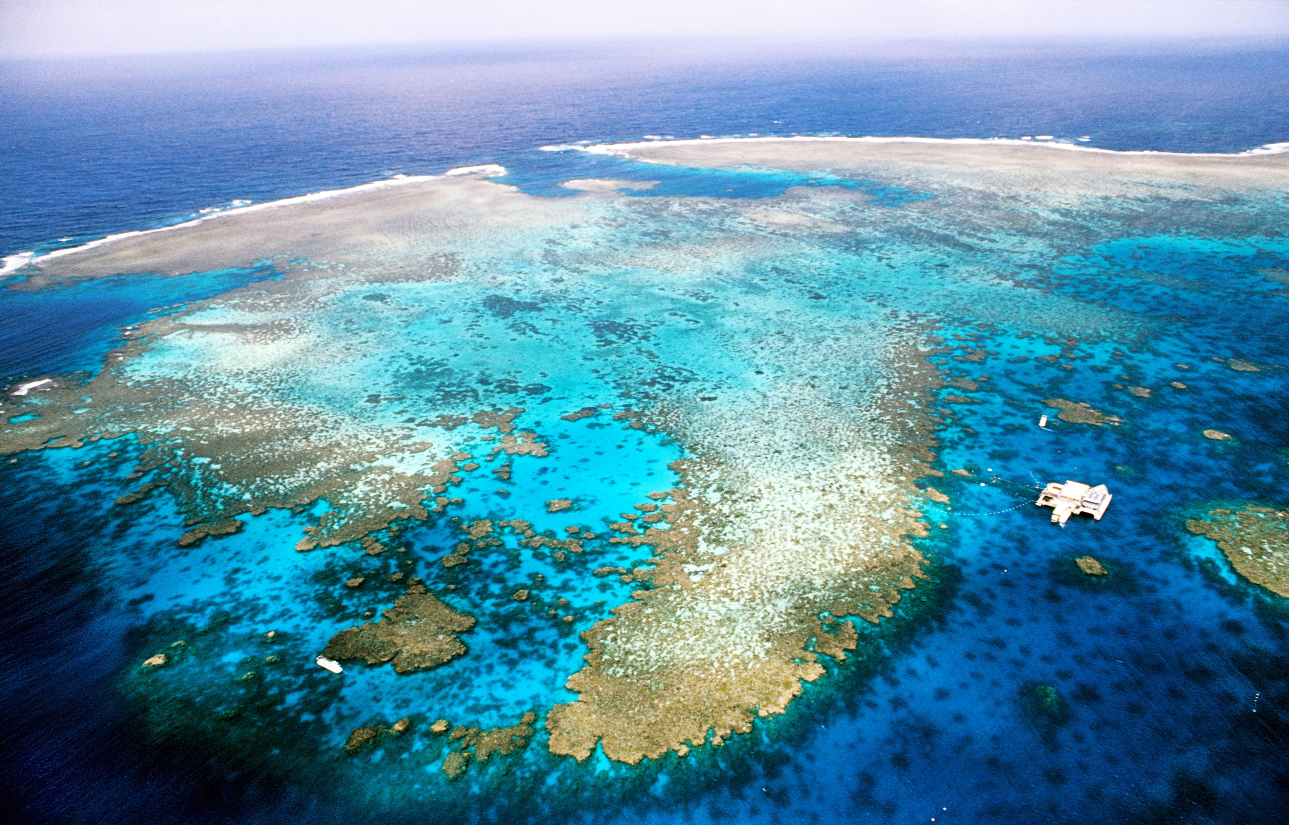 Aerial view of the Great Barrier Reef with vibrant coral formations and a boat in the clear blue ocean, highlighting a popular travel destination