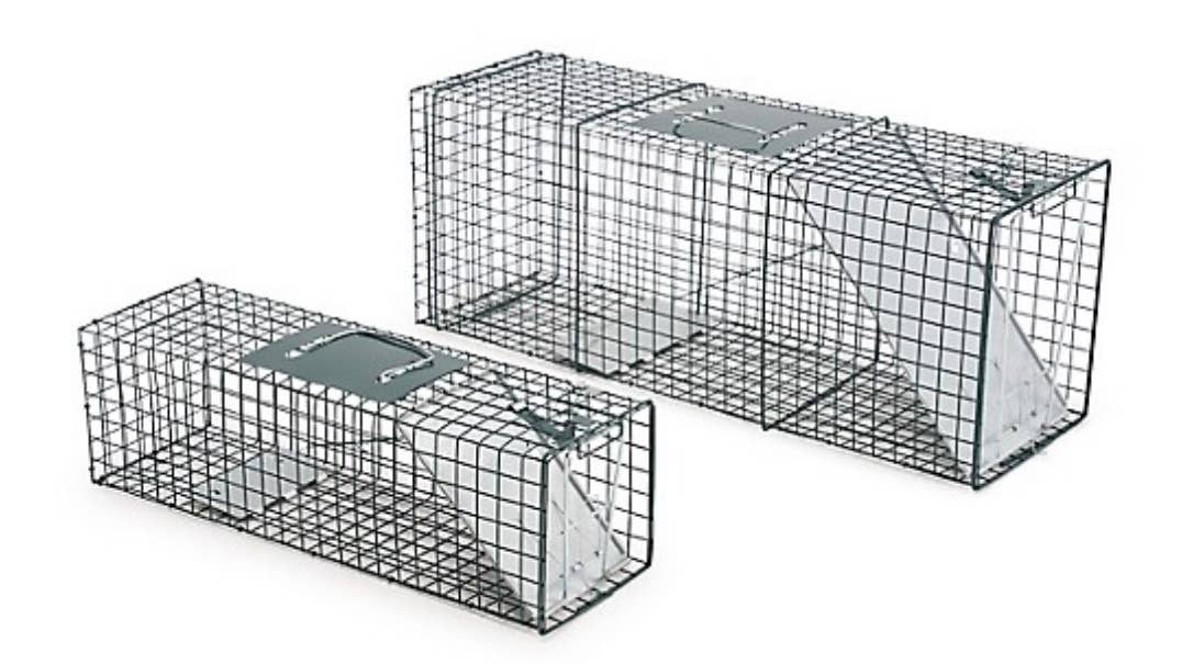 countyline-catch-and-release-live-animal-traps