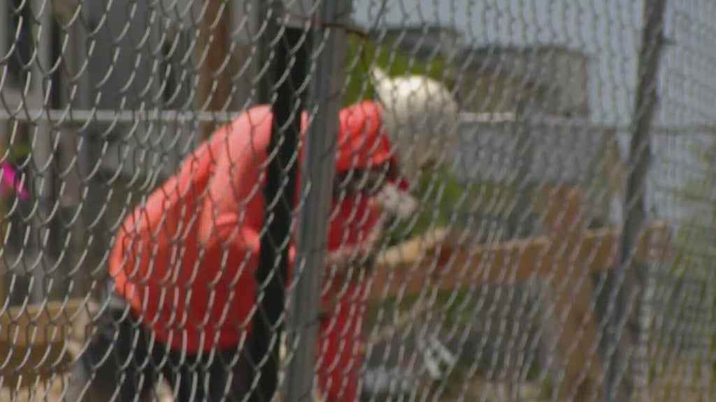 Construction crews, pet owners urged to take extra precautions during dangerous North Texas heat