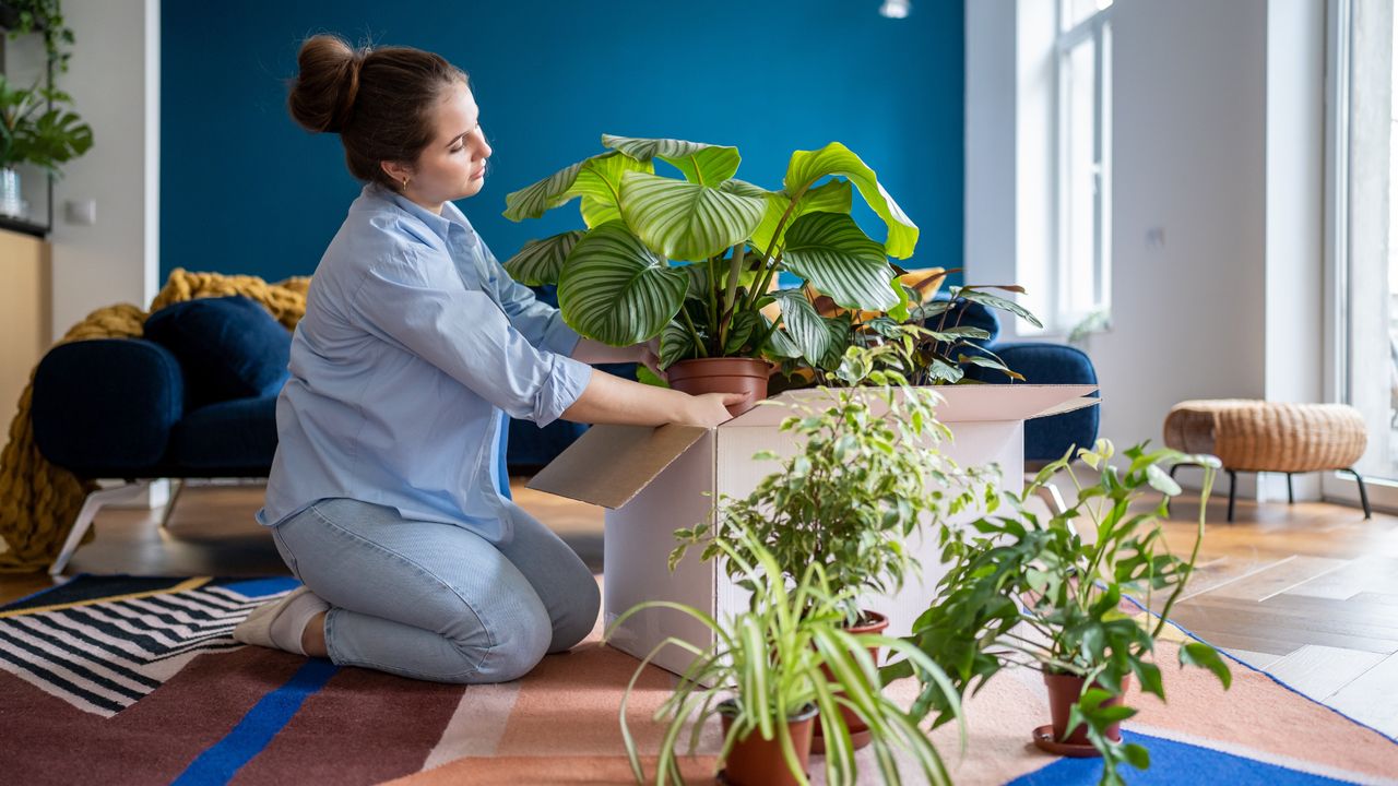 Can you take garden plants with you when you move? A lawyer explains the do's and don'ts