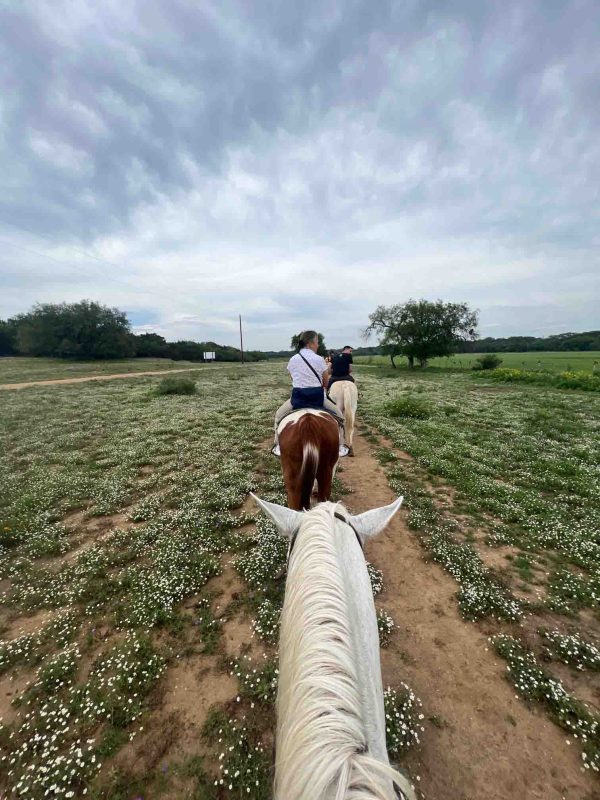 Have You Ever Been to America's Self-Proclaimed Cowboy Capital? Most Travellers Haven't 37