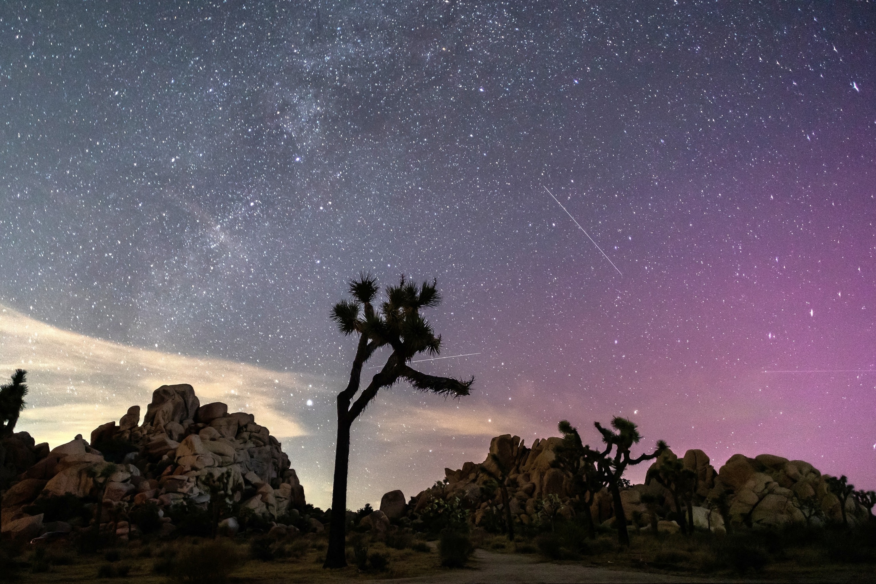 How to see the Perseid meteor shower this summer