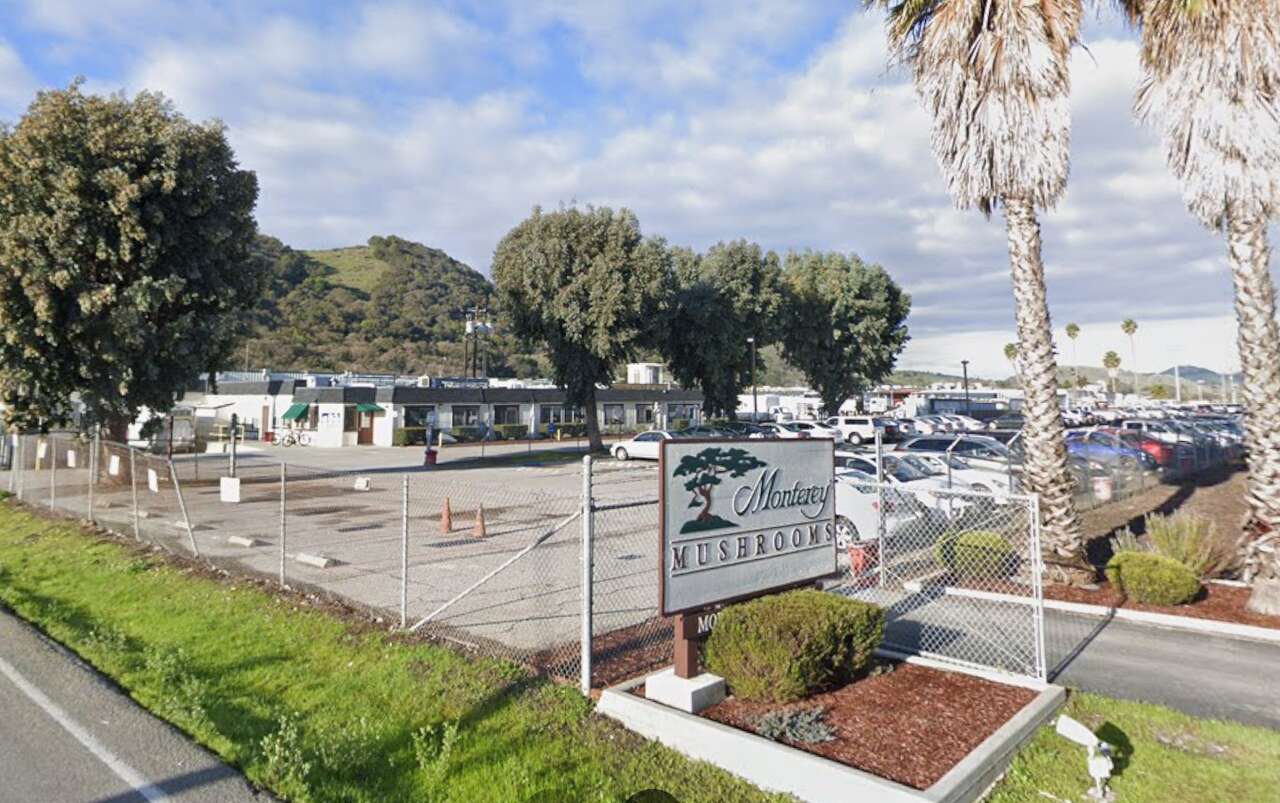 North America's largest mushroom producer to cut 253 jobs in Bay Area