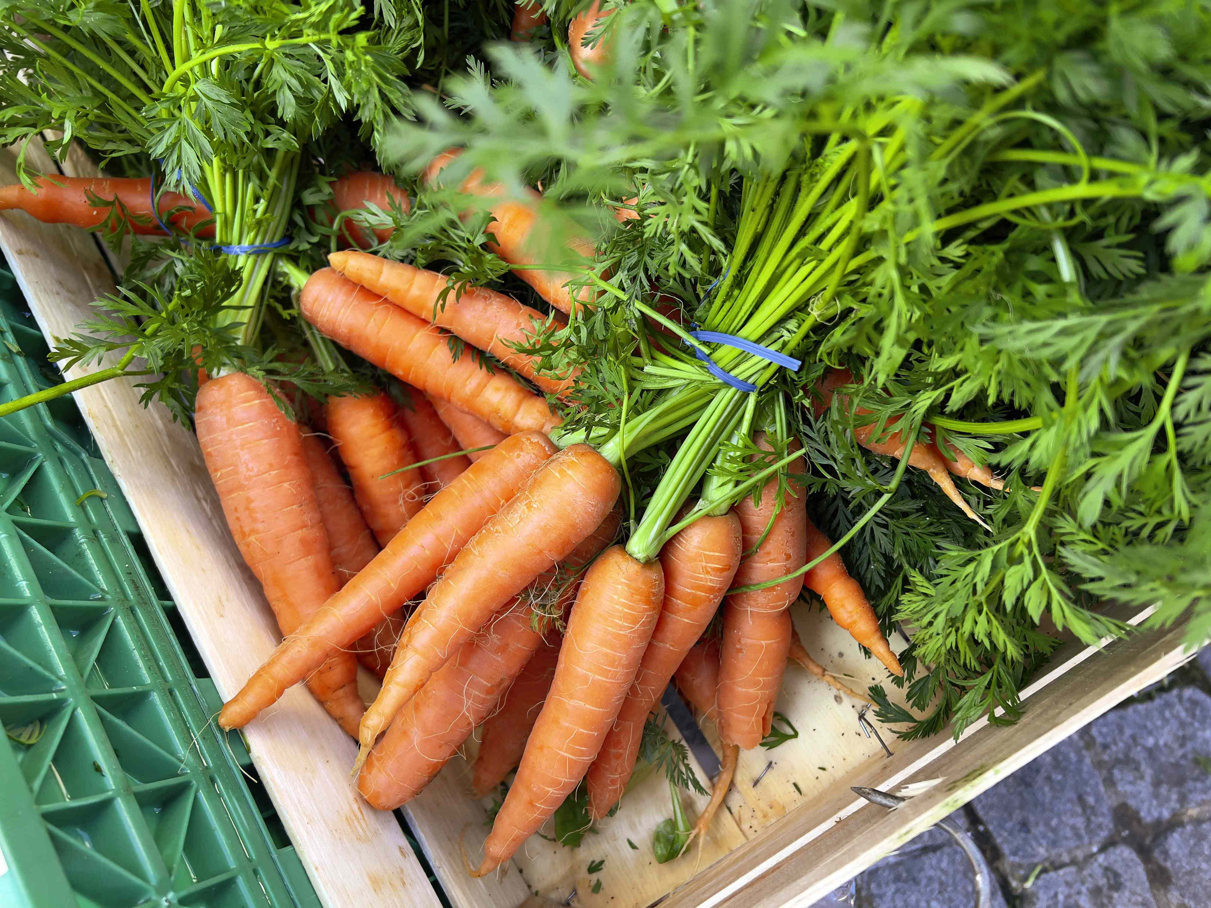 Can you eat sprouted carrots? Here’s what experts say
