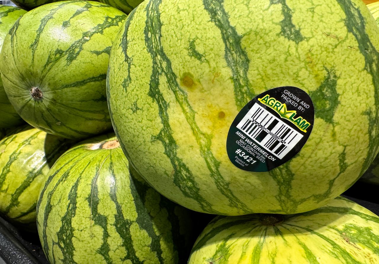 Several watermelons stacked one displaying a sticker indicating its brand
