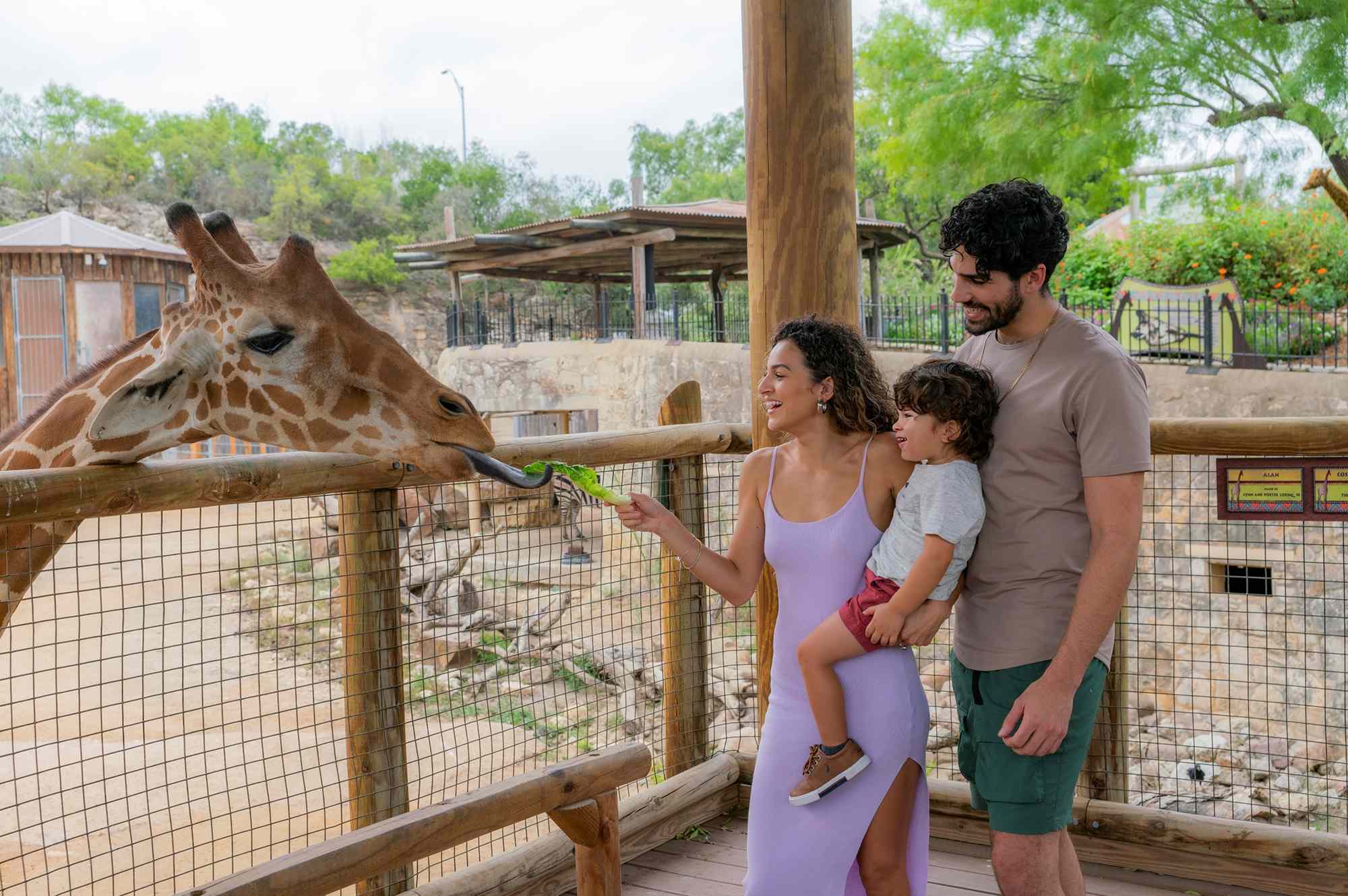 ClassPass just added theme parks, zoos, and aquariums—including Six Flags, Legoland, and more