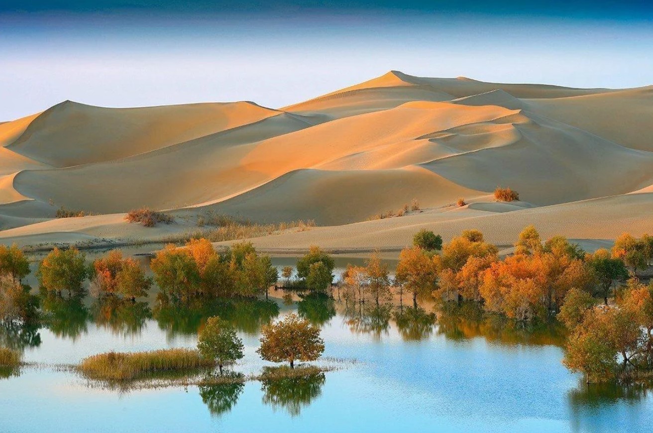 China Planted 66 Billion Trees to Halt the Gobi Desert – Africa Tried a Similar 