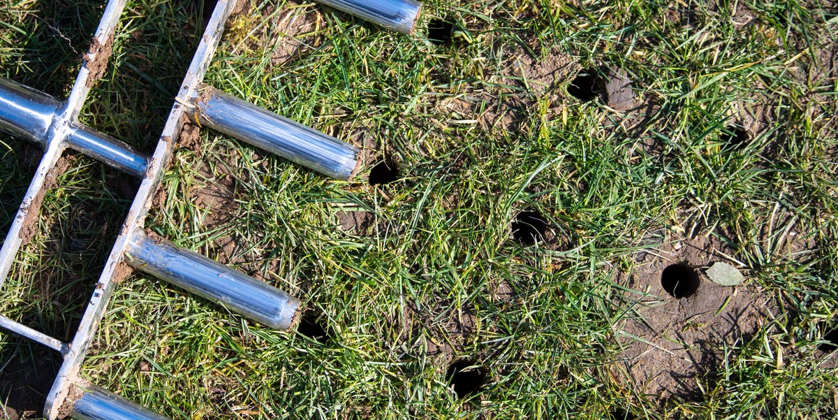 Should You Aerate Your Lawn This Summer?