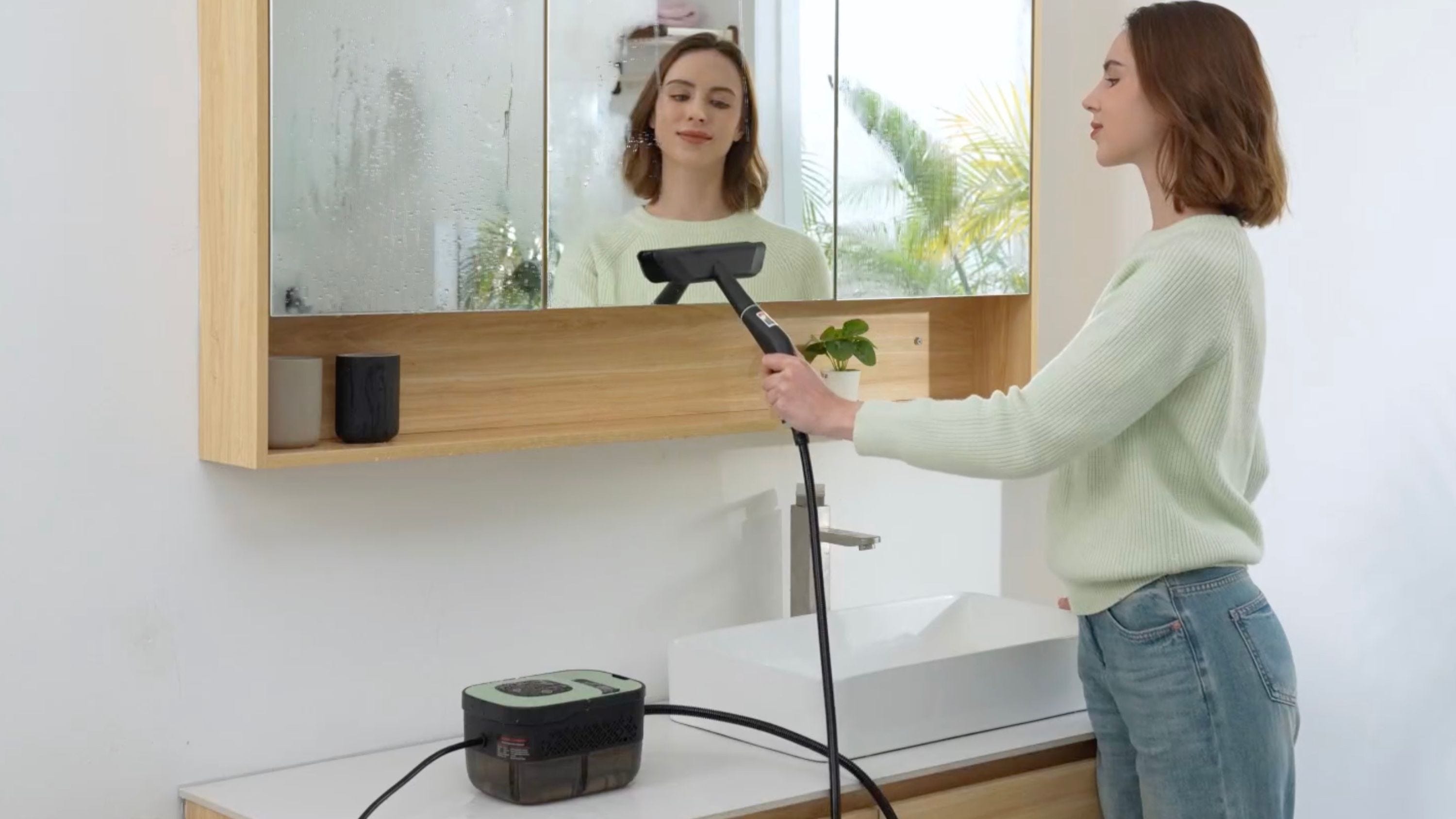 Portable Steam Cleaner
