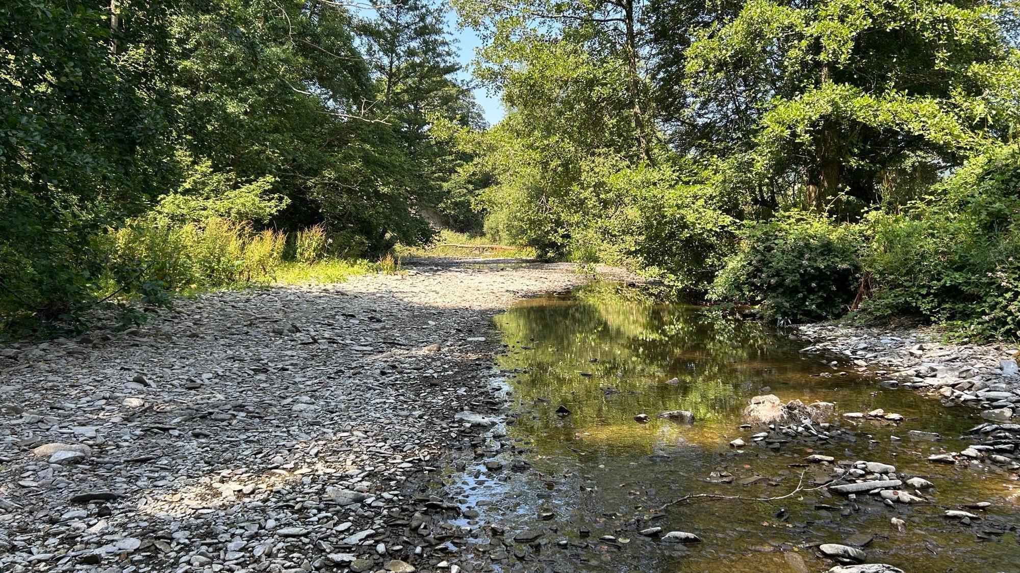 The Environment Agency said it was taking action to protect water supplies and wildlife in the region