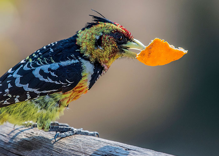 75 Facts That Are Blunt, Useless, And Kind Of Mean