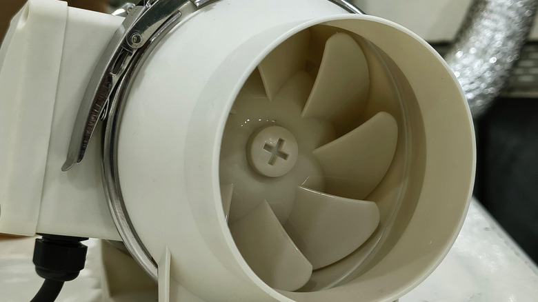 Inline fan vs exhaust fan: What's the difference?