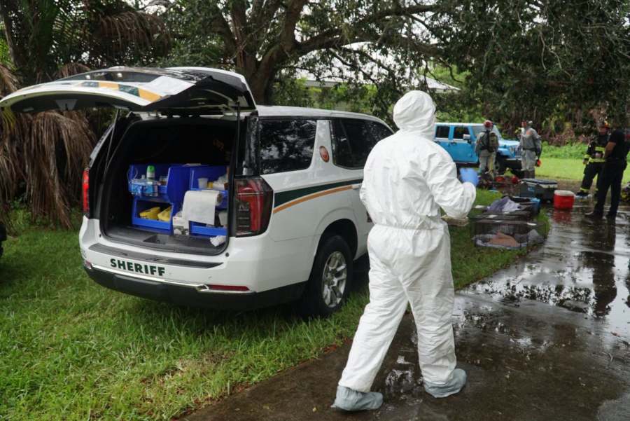 80 cats found in home of Florida mail carrier who picked up strays along her route: MCSO