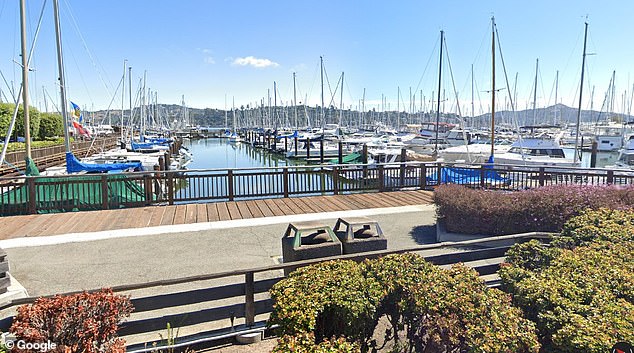 Report: Town manager 'emptied vodka bottle on yacht she'd broken into'
