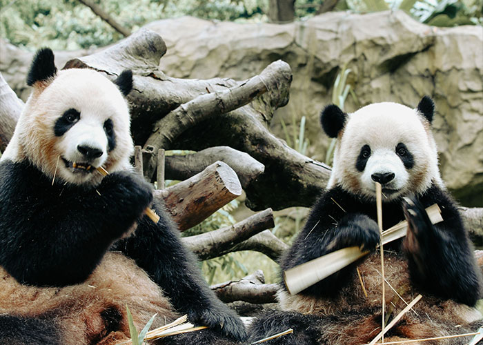 75 Facts That Are Blunt, Useless, And Kind Of Mean