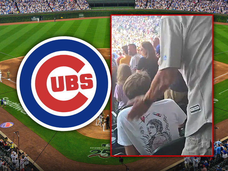 Chicago Cubs fan explains viral national anthem slap, says he apologized