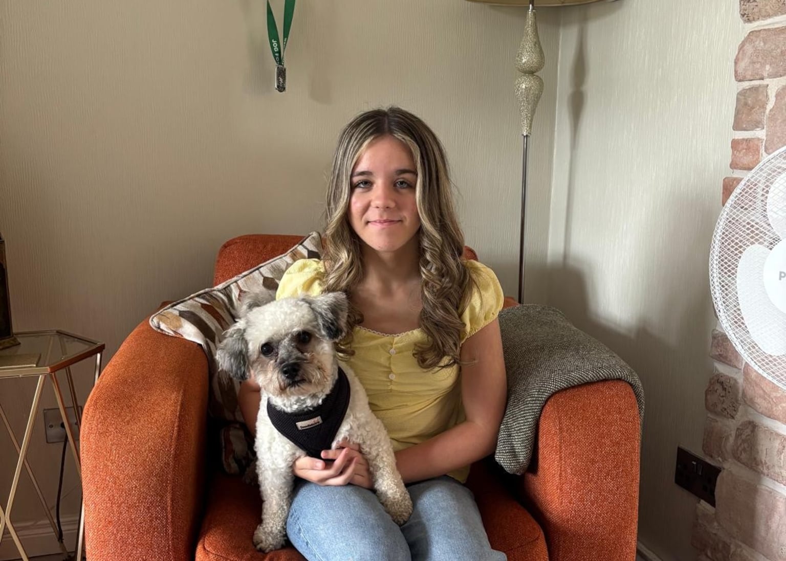 Tyrone girl (12) bullied and beaten attracts swell of support after video of latest attack goes viral
