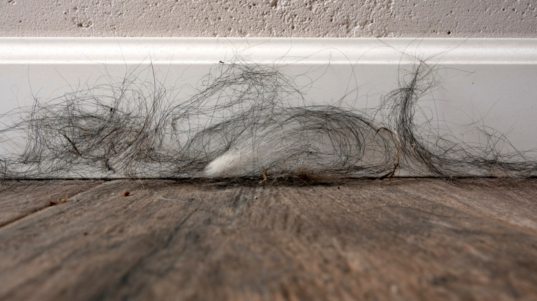 Mistakes Everyone Makes When Cleaning Their Vinyl Plank Floors