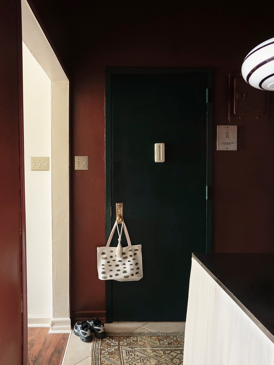dark brown and teal entryway with door