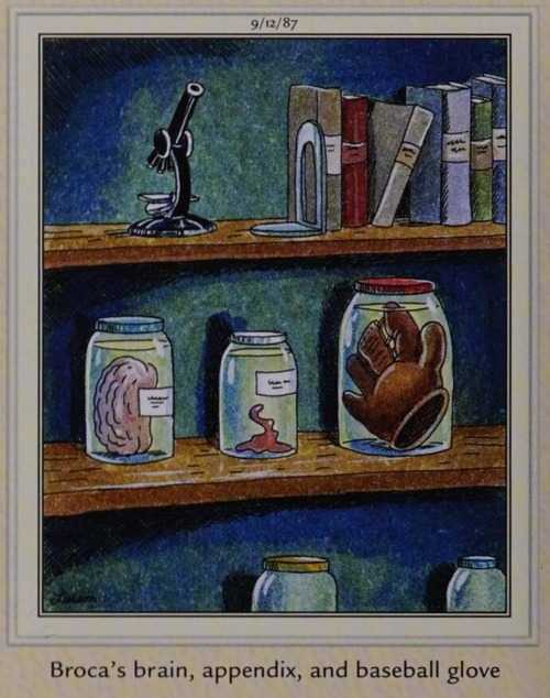 Broca's Brain Sits on a Shelf