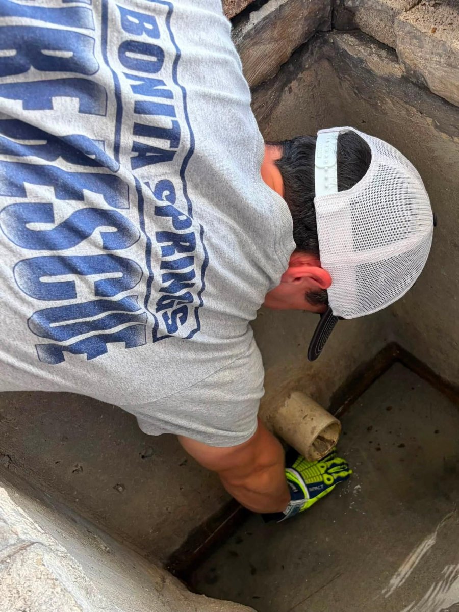 14 sea turtle hatchlings rescued from Florida storm drains