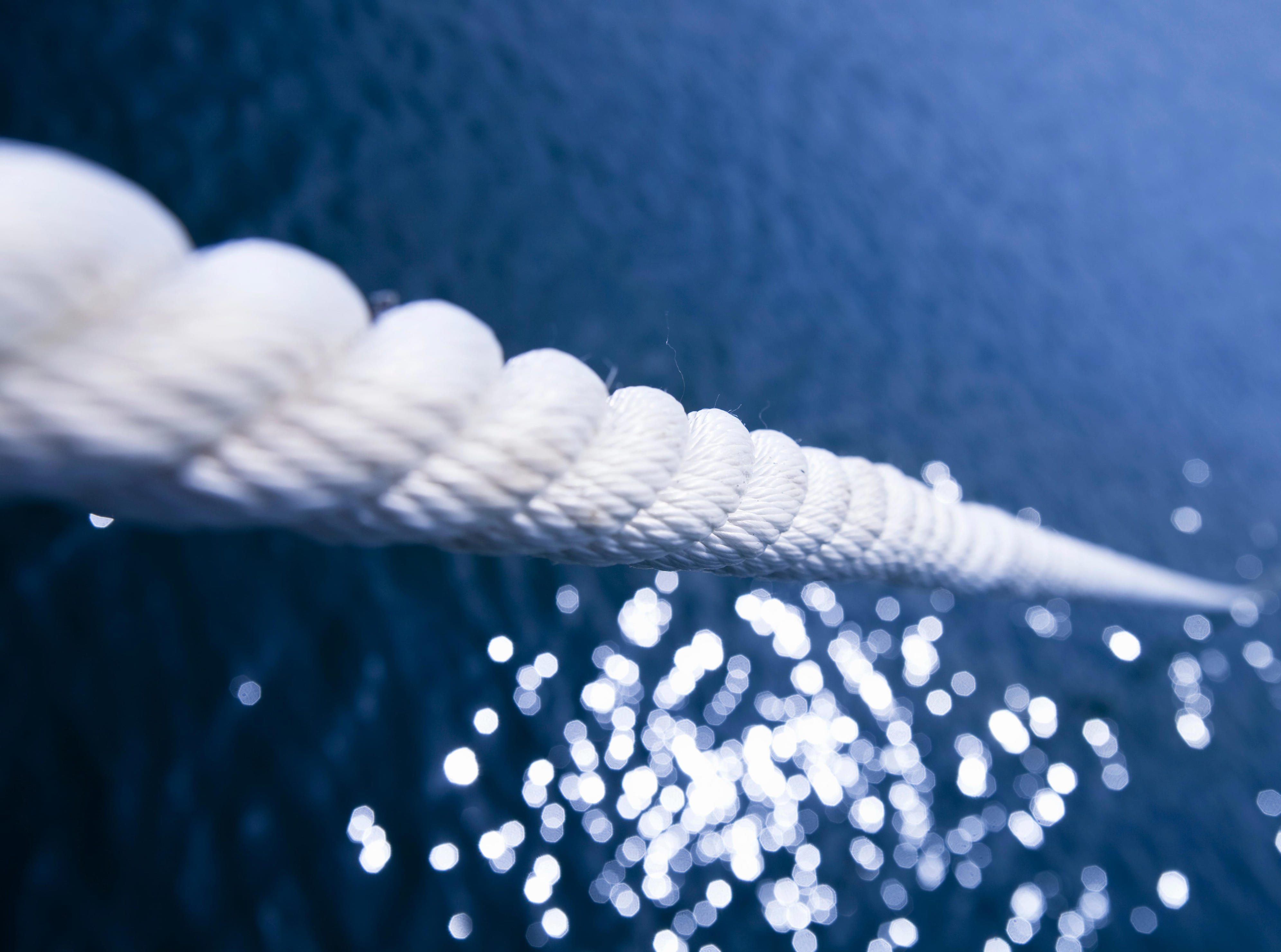 Carnival cruise guest hospitalized after rope swinging excursion in Honduras