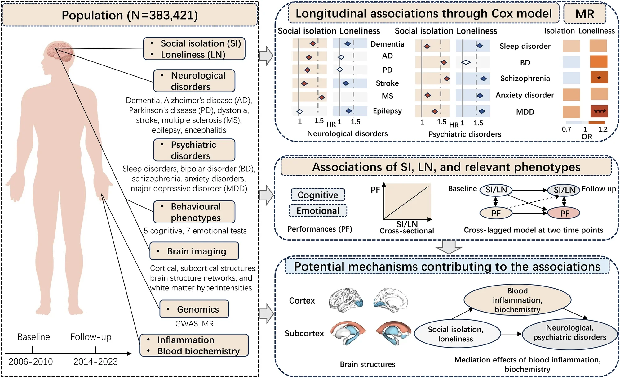 Associations of social isolation and loneliness with neurological disorders, psychiatric disorders, brain structures and behavioural phenotypes among UK Biobank participants. (CREDIT: Nature)