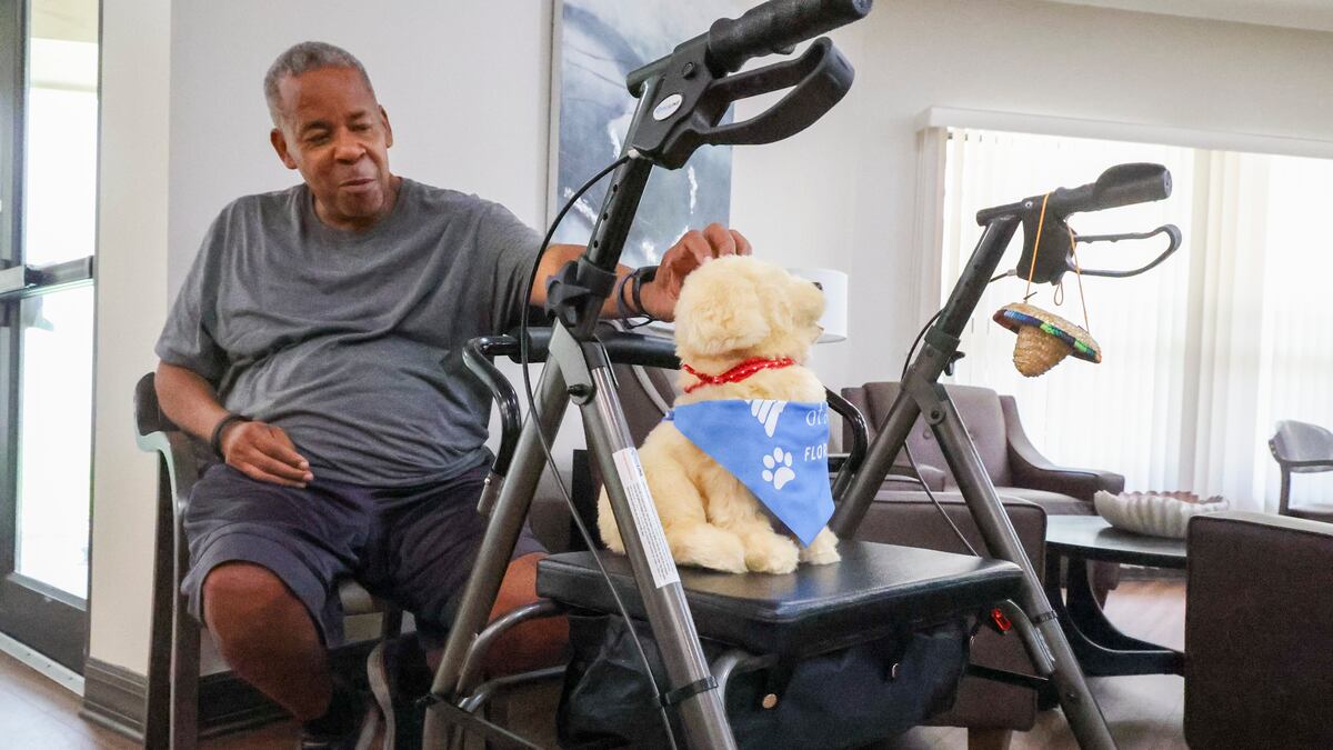 These Tampa Bay seniors’ robotic pets aren’t real. The feelings they inspire are.