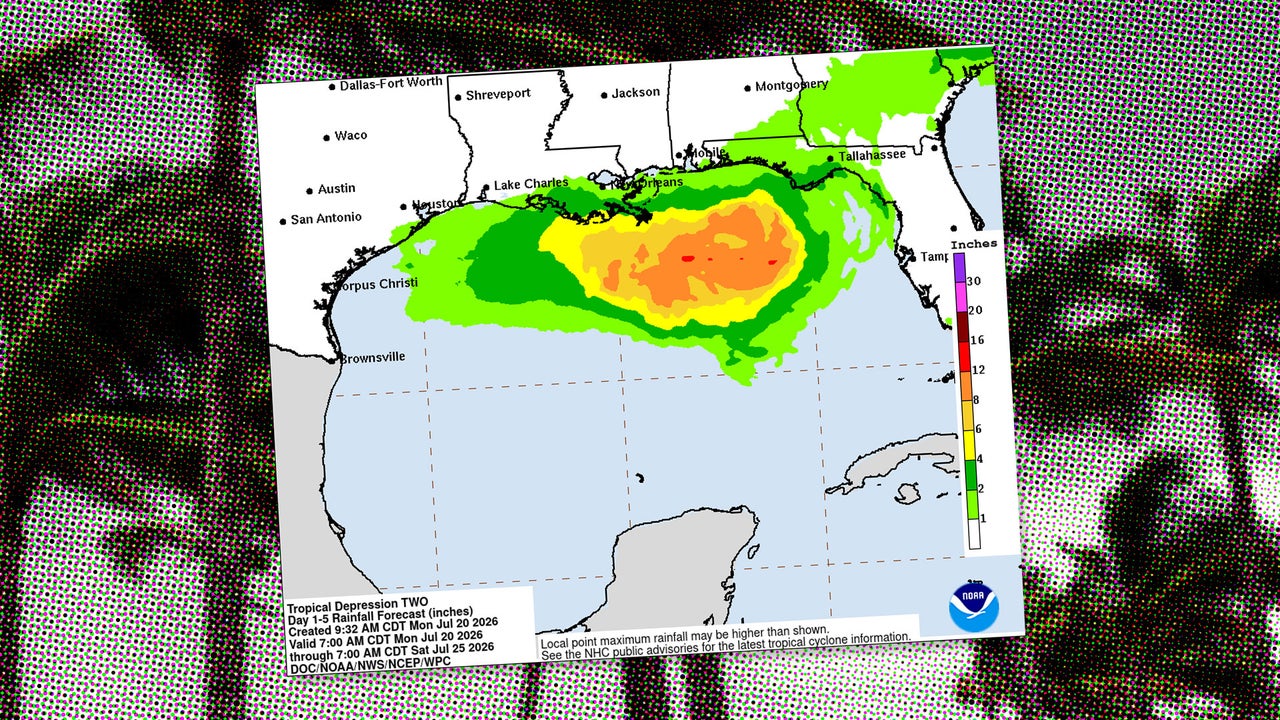 Will the Gulf Coast tropical depression turn into storm Bertha? Here’s the forecast from NOAA’s hurricane tracker