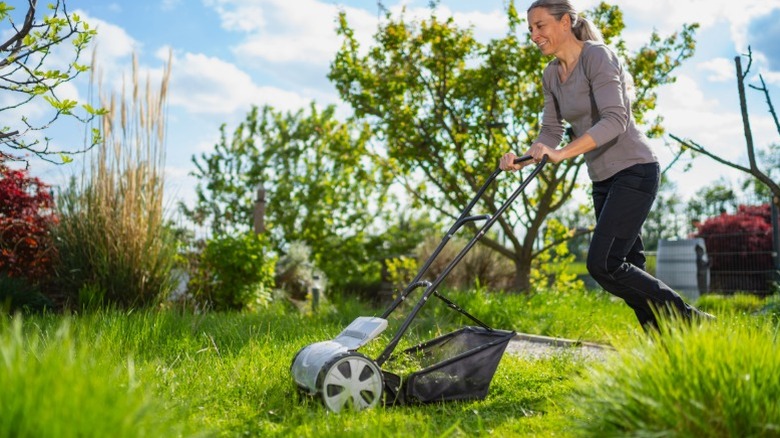 Cylinder Or Rotary Lawn Mower: How To Choose The Best One For Your Yard