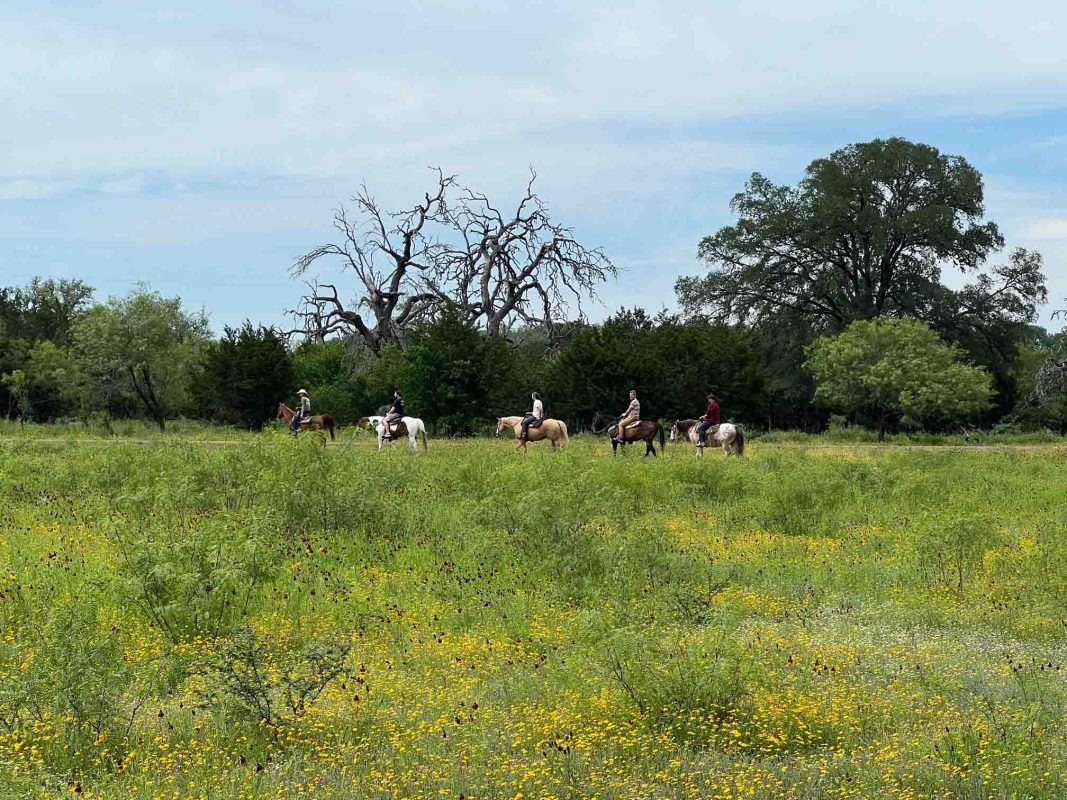 Have You Ever Been to America's Self-Proclaimed Cowboy Capital? Most Travellers Haven't 22