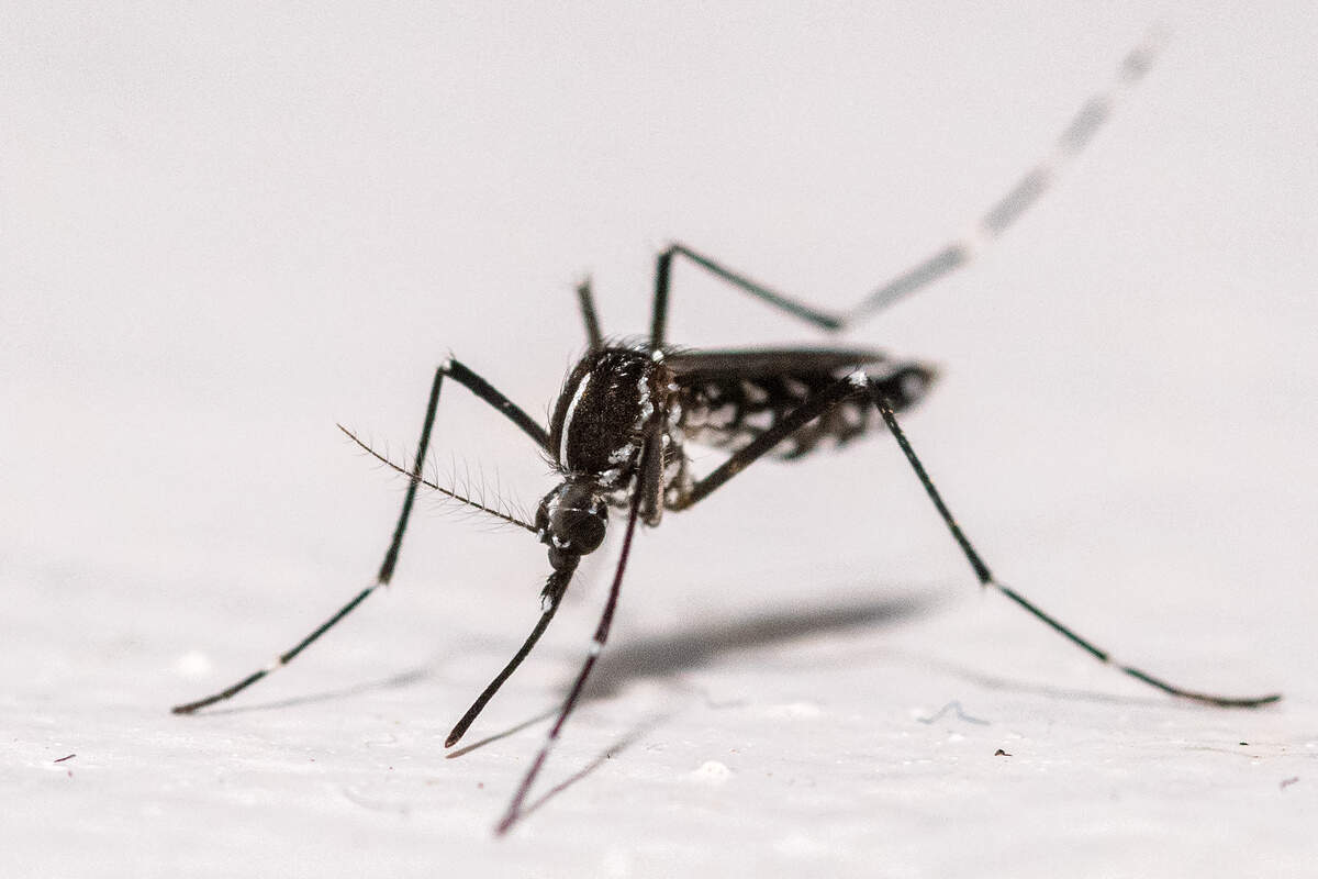 Health department to spray for mosquitoes in this Lexington ZIP code