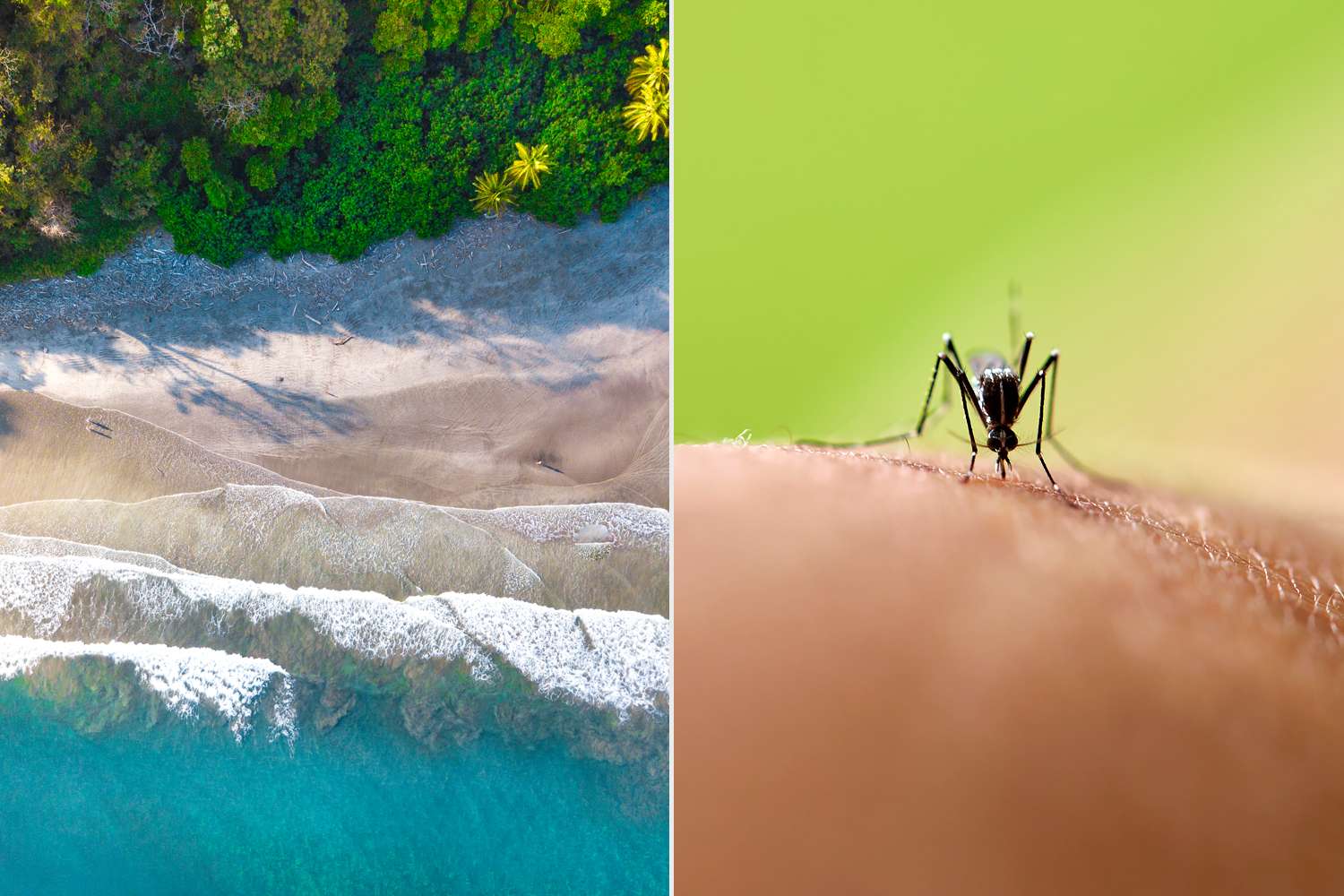 US issues travel alert for popular vacation hotspot due to rising cases of painful mosquito-borne illness