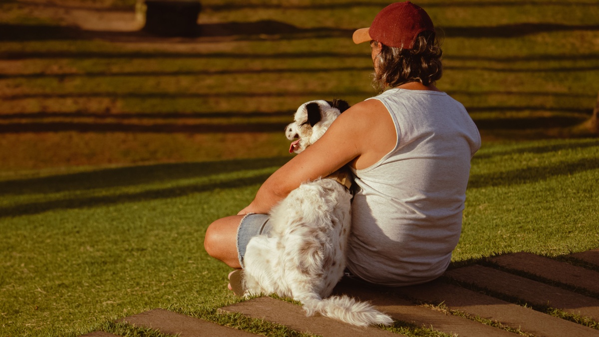 World Dog Day: What science says about why dogs love humans so much