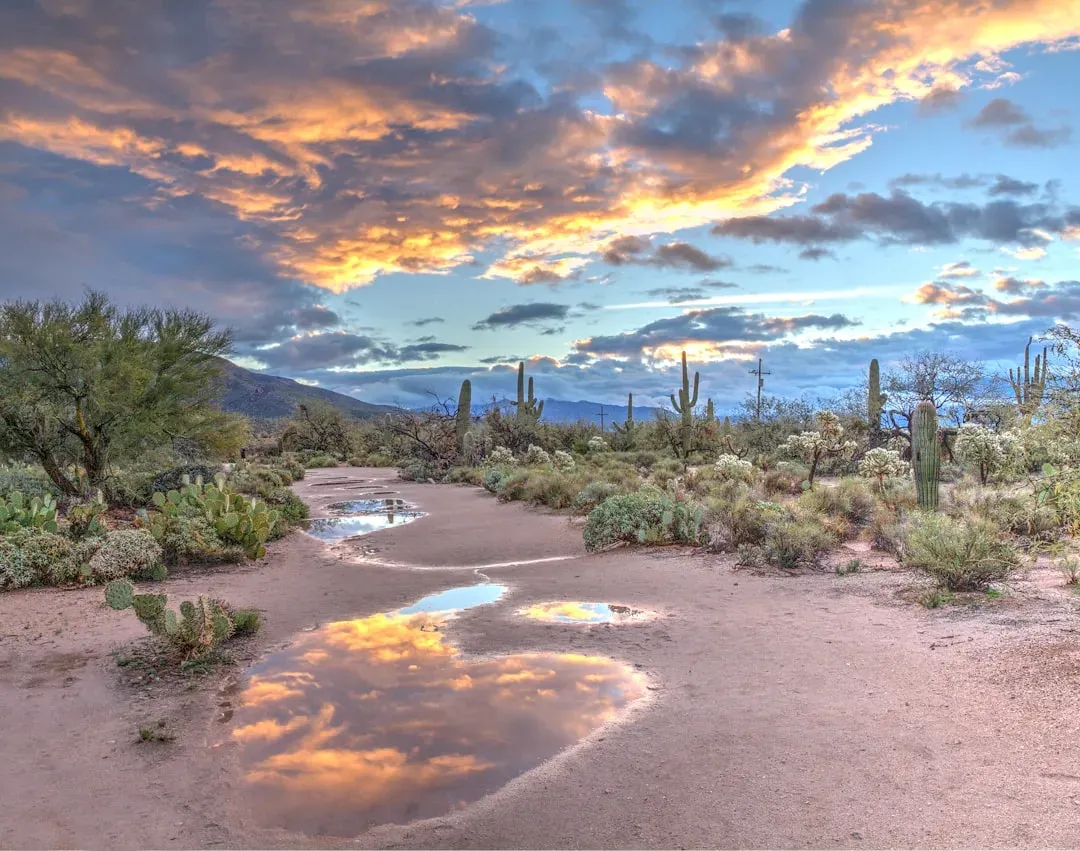 Yuma, Arizona: the desert's quiet extreme (Image Credits: Unsplash)