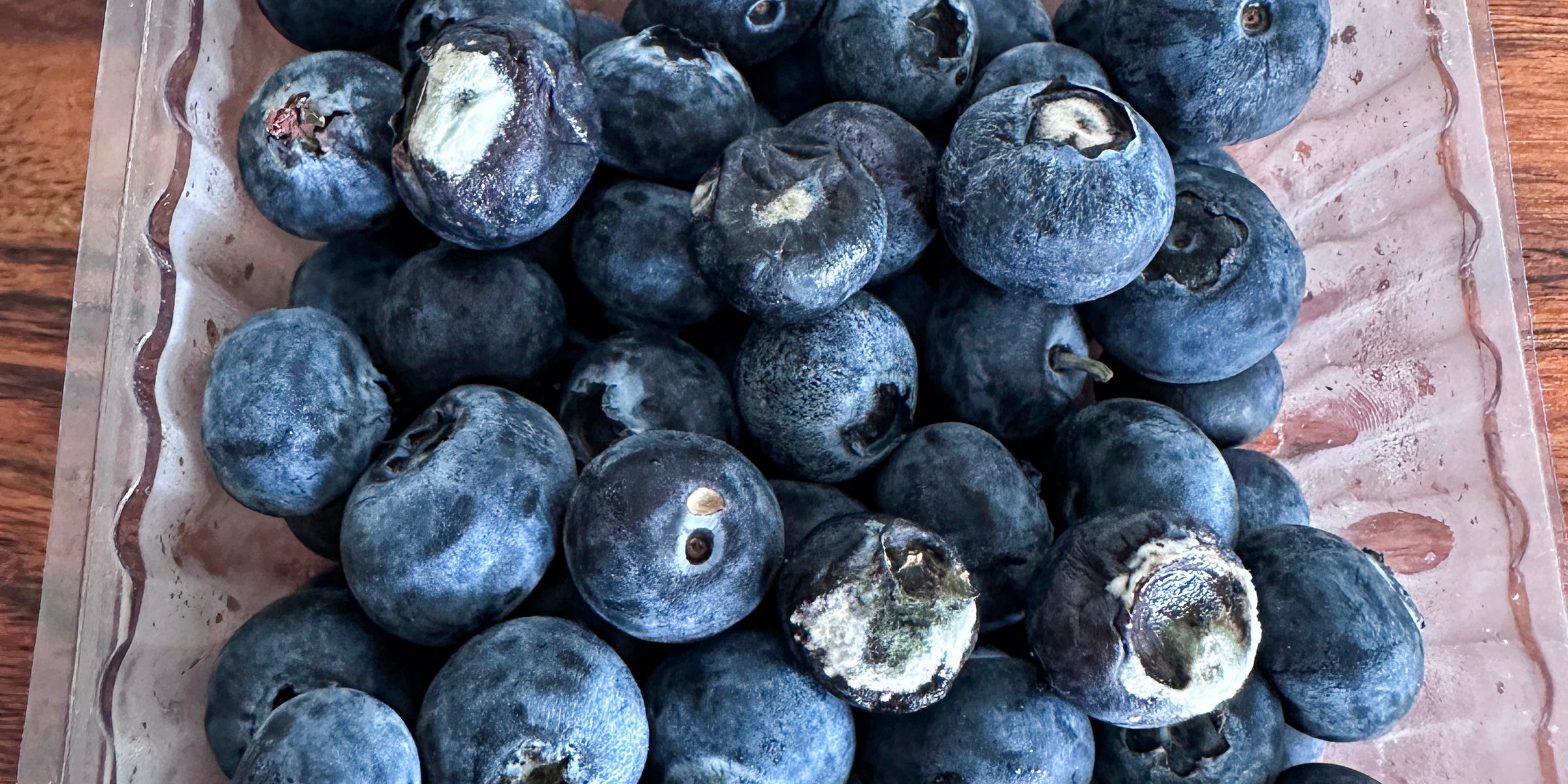 Does one moldy blueberry ruin the entire pint? Experts weigh in