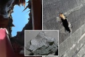 ‘Alien chemistry’ meteorite that slammed NJ home is among rarest space rocks ever recovered
