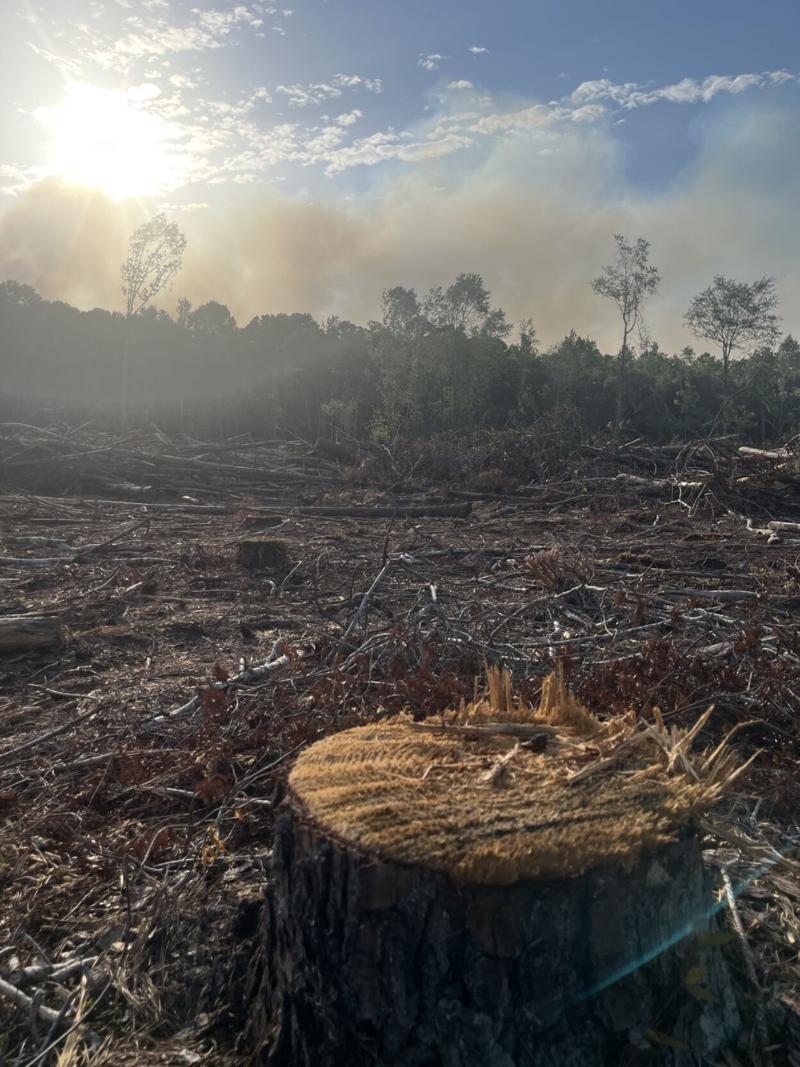 Francis Marion Forest wildfire partially contained. Plus, Mount Pleasant police recover stolen cars